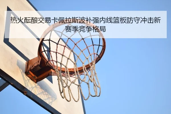 热火酝酿交易卡佩拉斯波补强内线篮板防守冲击新赛季竞争格局